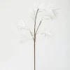 RETIF Branche Enneigee L 74 Cm Clearance