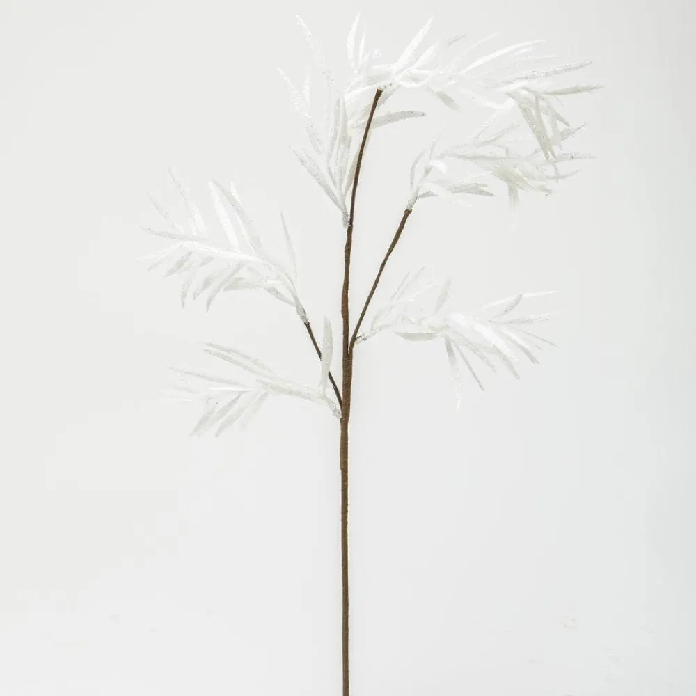RETIF Branche Enneigee L 74 Cm Clearance
