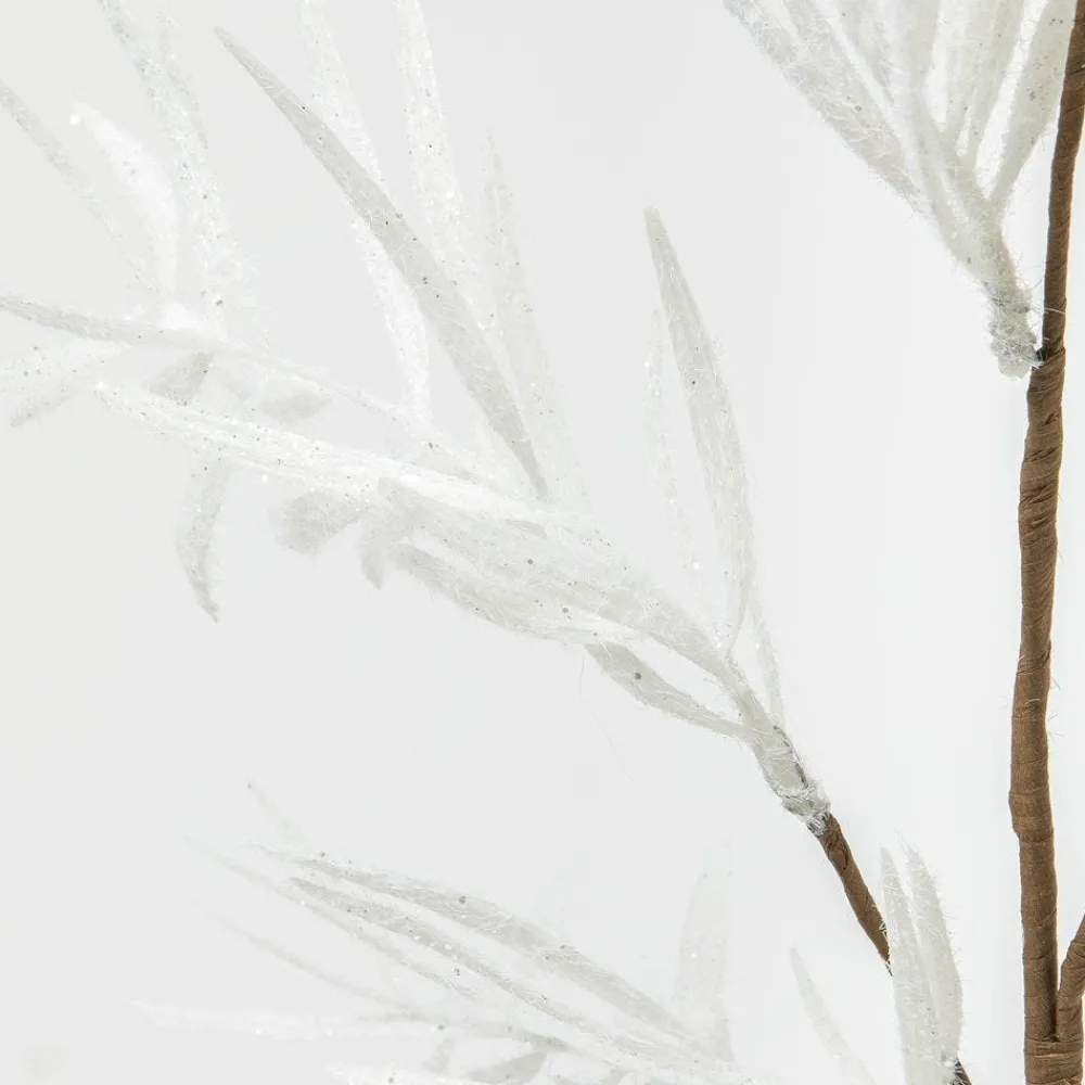 RETIF Branche Enneigee L 74 Cm Clearance