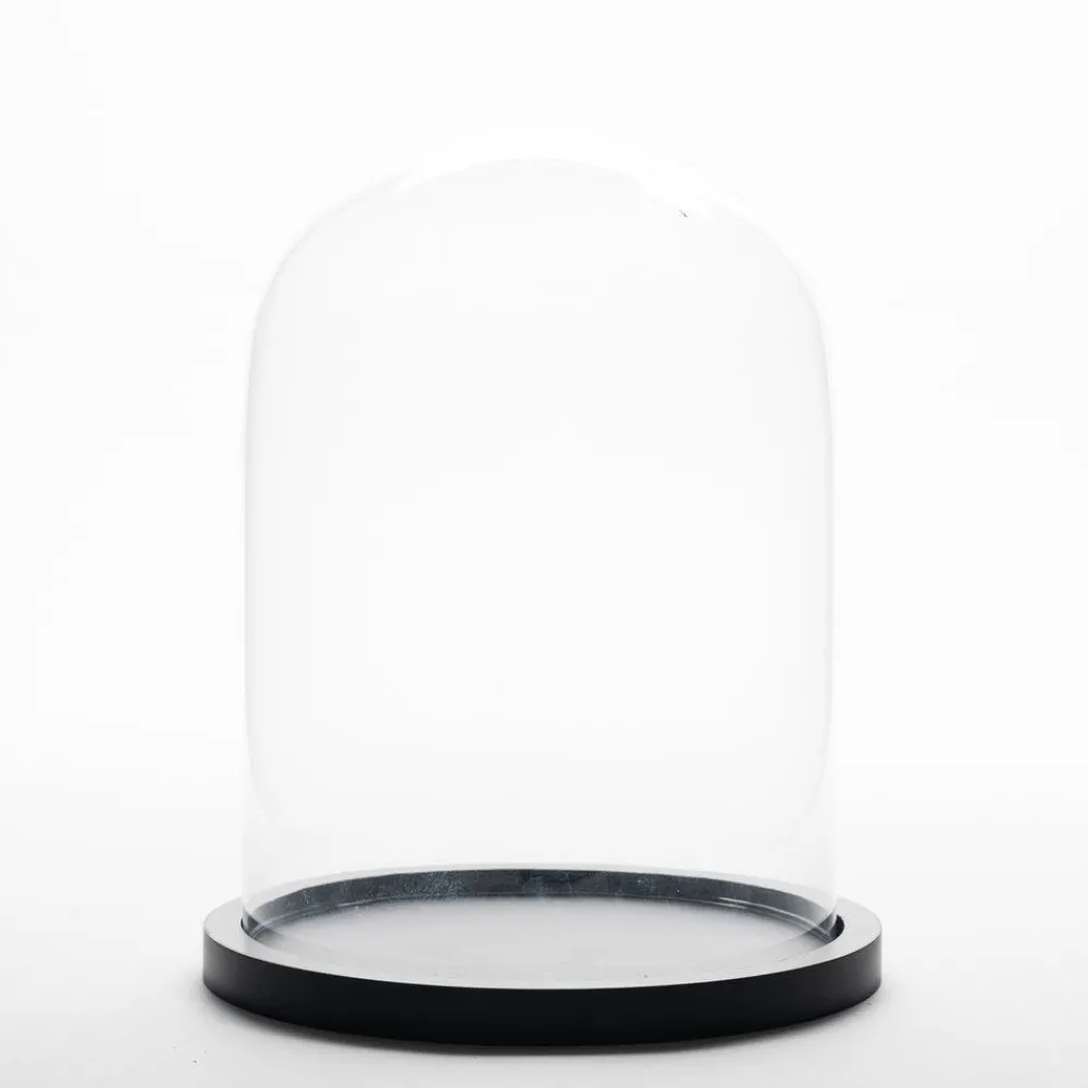 RETIF Cloche En Verre Sur Socle En Bois O 18.5 X H 25.5 Cm Online