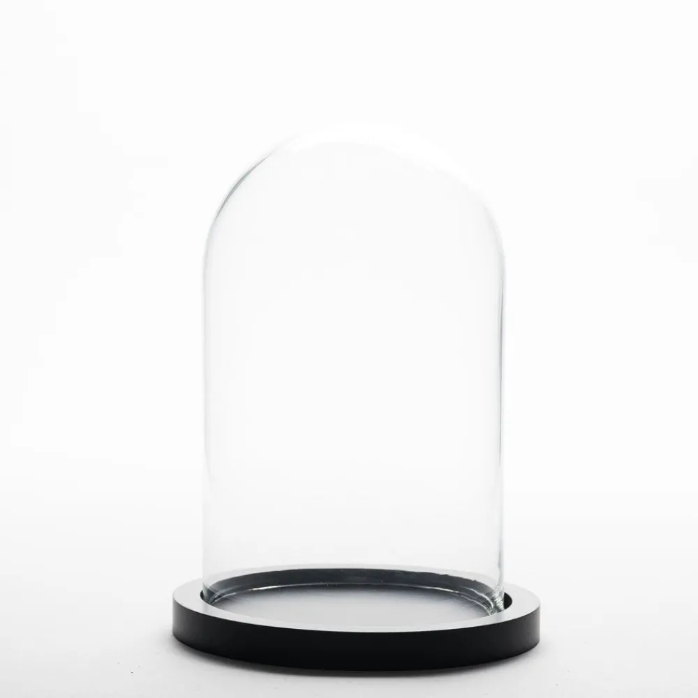 RETIF Cloche En Verre Sur Socle En Bois O 23 X H 30 Cm Cheap