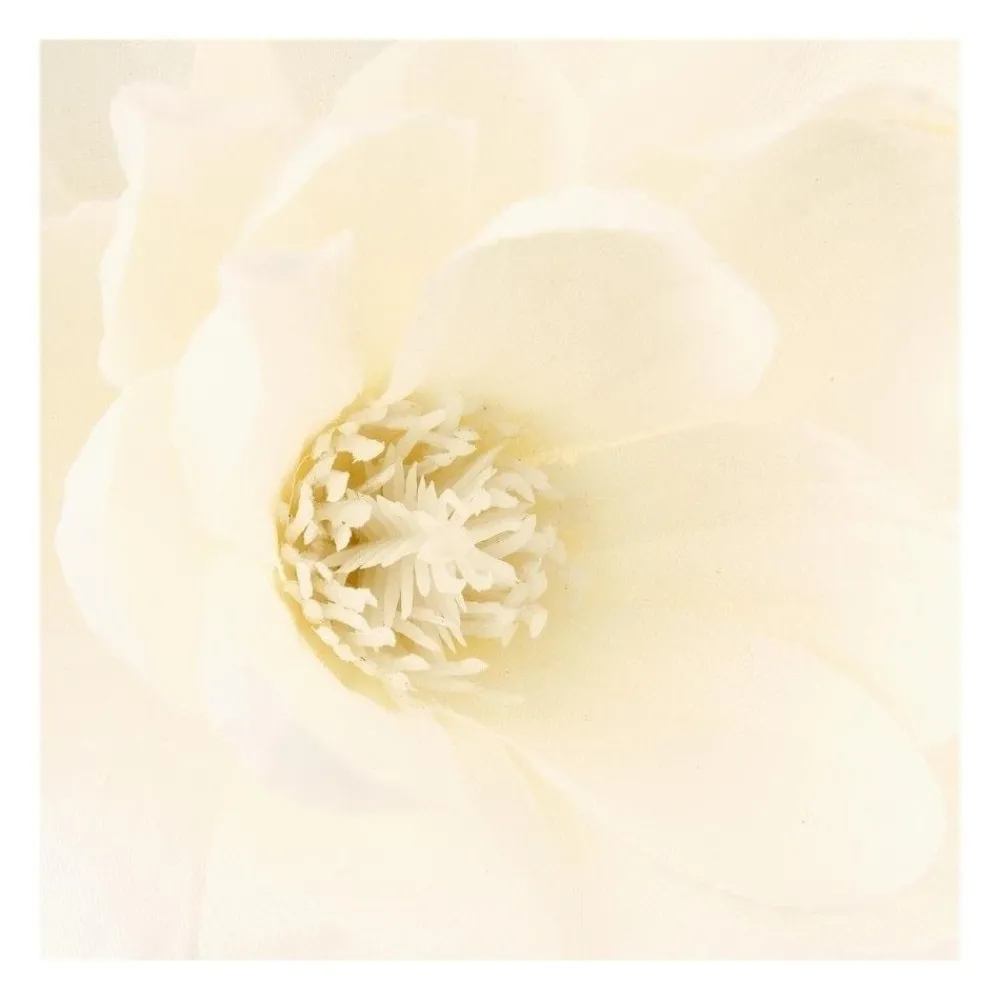 RETIF Compo Artificielle De 3 Roses Blanches Dans 3 Vases En Verre Lies Par Une Corde Flash Sale