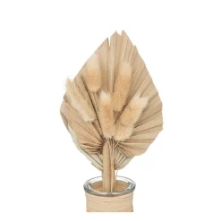 RETIF Composition De Fleurs Sechees Vase En Verre H28.5Cm Hot