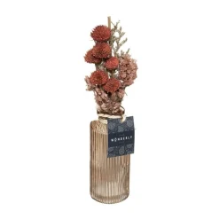RETIF Composition De Fleurs Sechees Vase En Verre H28Cm Flash Sale