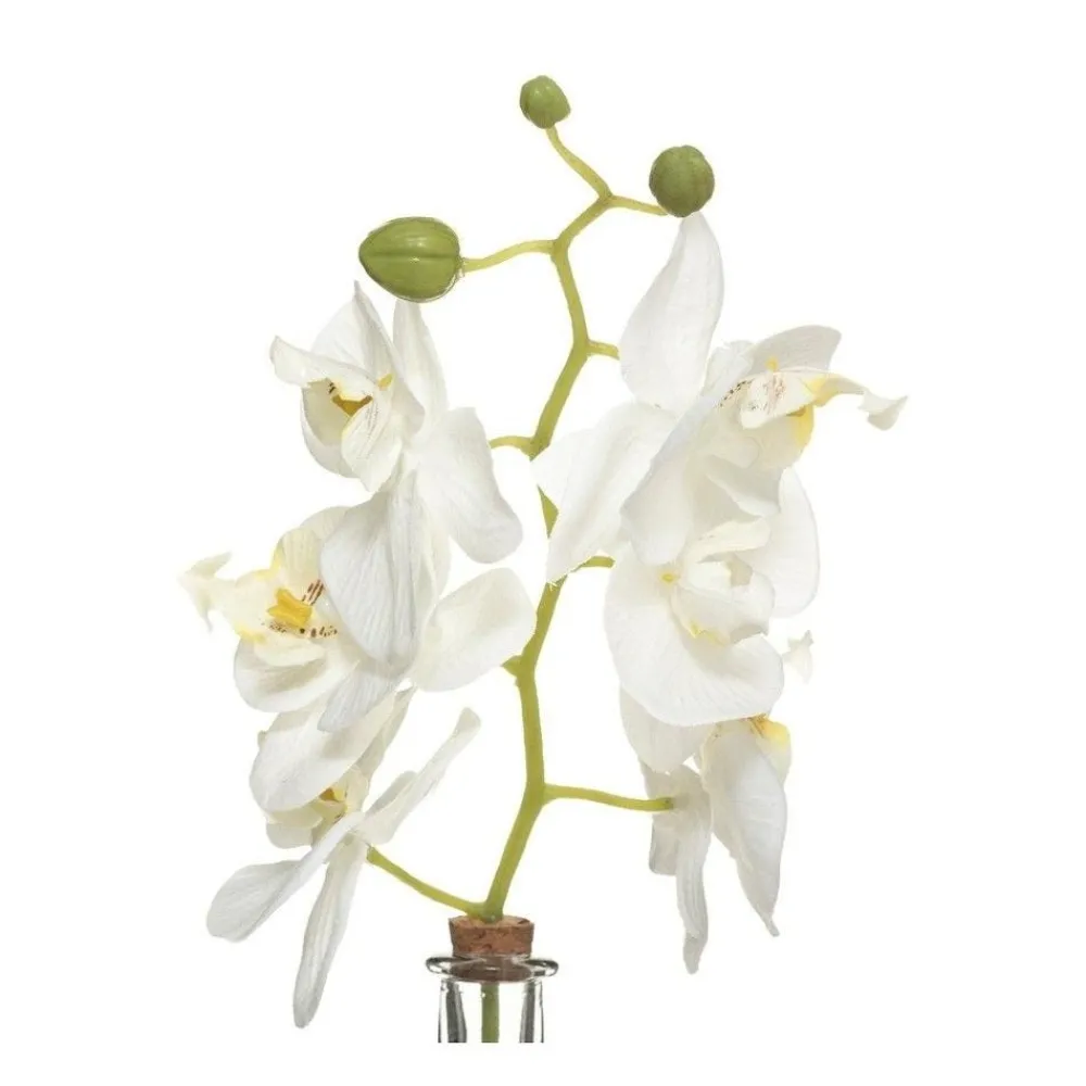 RETIF Composition Florale Artificelle Orchidee En Soie Vase En Verre H35Cm Outlet