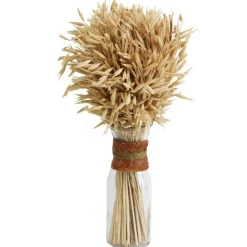 RETIF Epis Seches Dans Flacon En Verre H28Cm Clearance