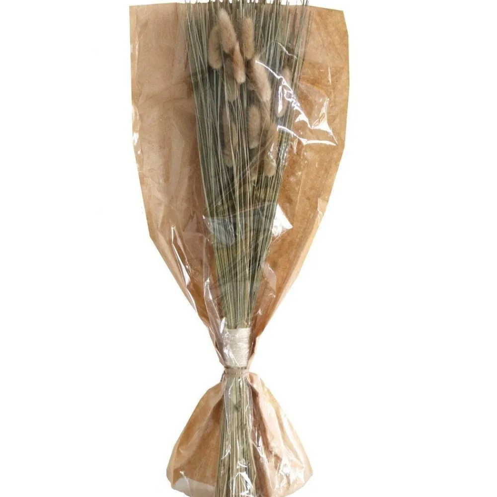 RETIF Fleurs Sechees En Bouquet Avec Chatons Dans Sachet Kraft H55/60Cm Flash Sale