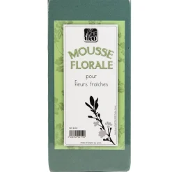 RETIF Mousse Verte Pour Piquer Des Fleurs Artificielles Ou Sechees L11Cm Best Sale
